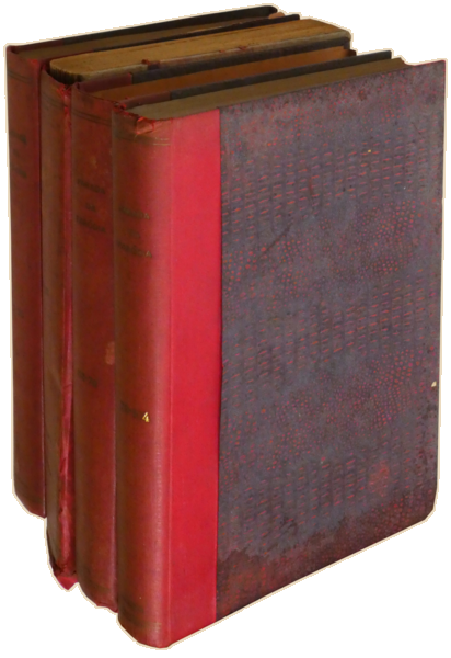 sadacosta-2304SB050_4.png