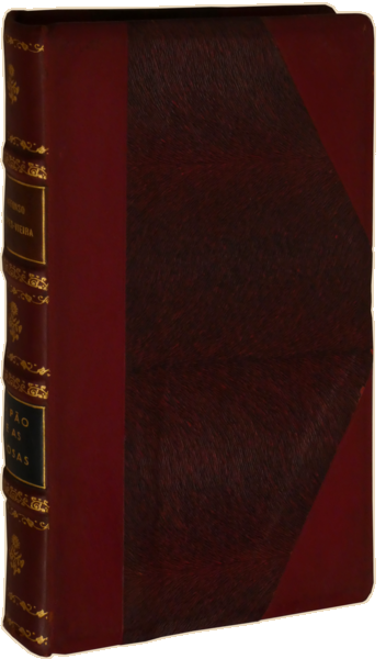 sadacosta-2304SB064_4.png