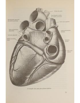 sadacosta-2304ac086_3.jpg