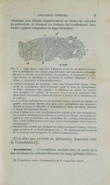 sadacosta-2304ma377_2.jpg