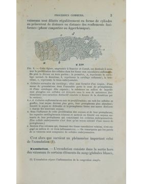 sadacosta-2304ma377_2.jpg
