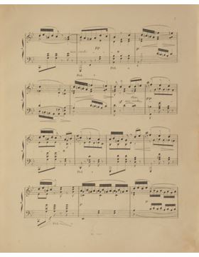 sadacosta-2304sb022_2.jpg