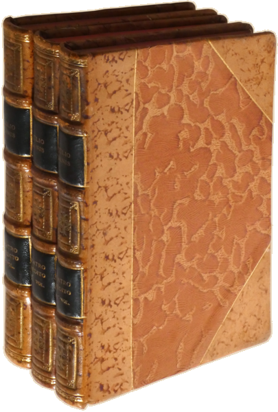 sadacosta-2305AC331_4.png