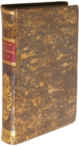 sadacosta-2305MA063_4.png
