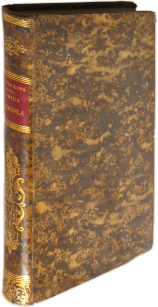 sadacosta-2305MA064_4.png