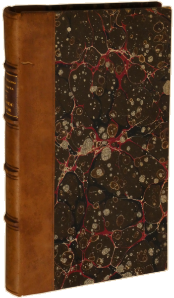 sadacosta-2305SB005_4.png