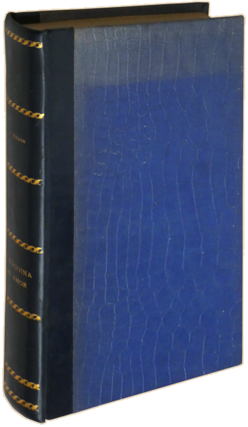 sadacosta-2305SB007_4.png
