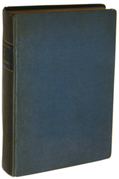 sadacosta-2305SB010_4.png