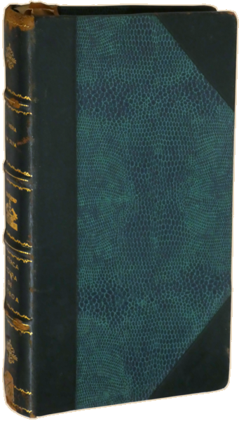 sadacosta-2305SB012_4.png