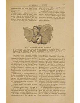 sadacosta-2305ac158_2.jpg