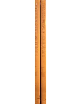 sadacosta-2305ac190_4.jpg
