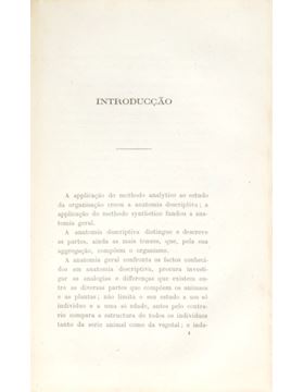 sadacosta-2305ma066_2.jpg