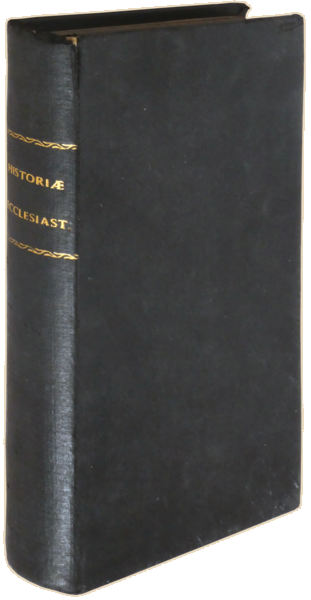 sadacosta-2306JS148_4.png