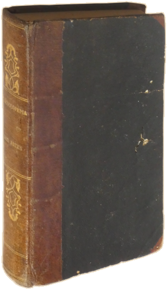 sadacosta-2306JS436_4.png