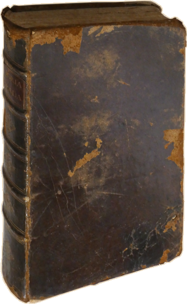 sadacosta-2306MA172_4.png