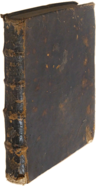 sadacosta-2306SB011_4.png