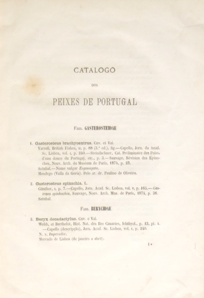 sadacosta-2306js444_2.jpg