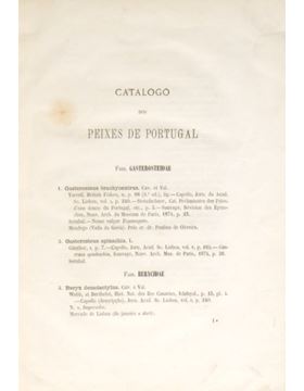 sadacosta-2306js444_2.jpg