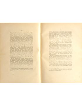 sadacosta-2306ma086_3.jpg