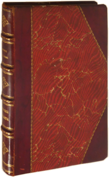 sadacosta-2307JS080_4.png
