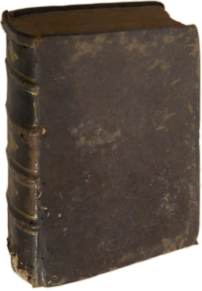 sadacosta-2307SB001_4.png
