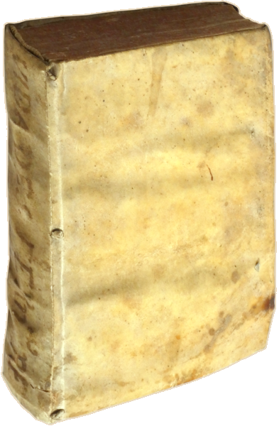sadacosta-2307SB002_4.png
