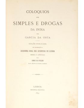 sadacosta-2307js081_1.jpg