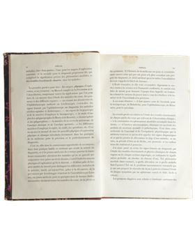 sadacosta-2309JS063_3.png