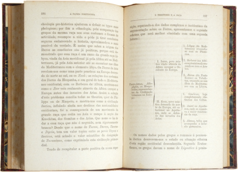 sadacosta-2309SB006_3.png