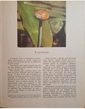 sadacosta-2309js355_2.jpg