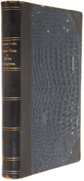 sadacosta-2310DG113_4.png