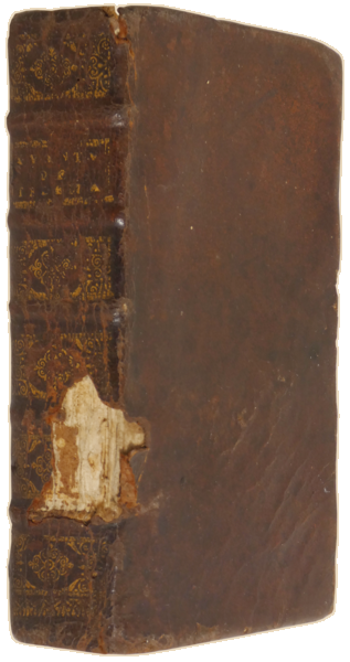 sadacosta-2310JS346_4.png