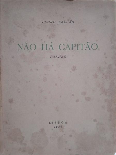 sadacosta-2310dg171_2.jpg