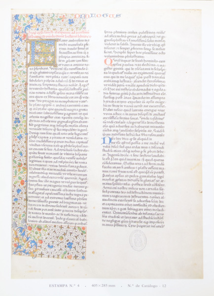 sadacosta-2310js197_2.jpg