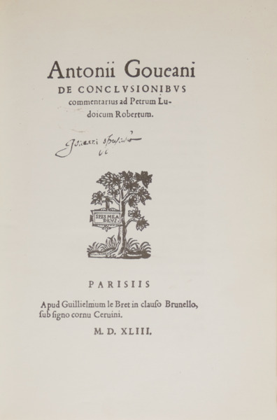 sadacosta-2310js238_2.jpg