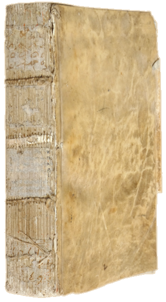 sadacosta-2311MA131_4.png