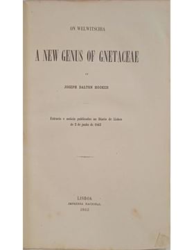 sadacosta-2311dg193_1.jpg