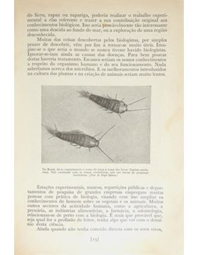 sadacosta-2311dg231_3.jpg