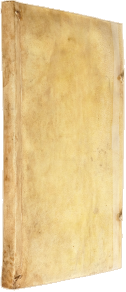 sadacosta-2312SB002_4.png
