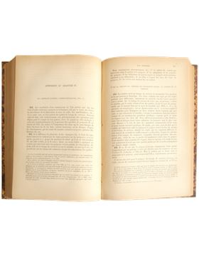 sadacosta-2401JS013_3.png