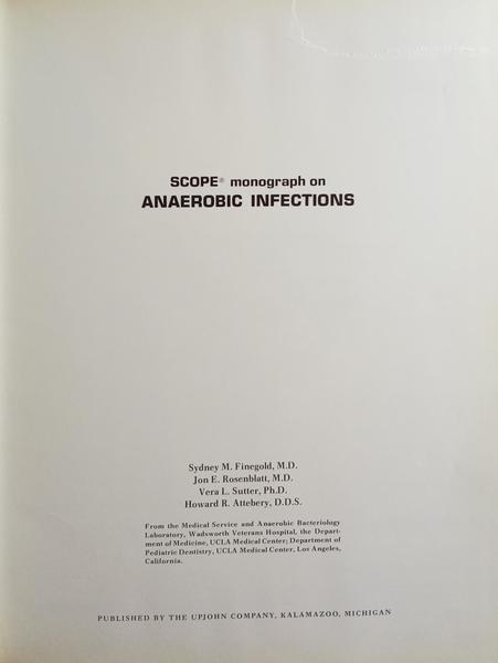 sadacosta-2402pa059_2.jpg