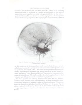 sadacosta-2402sb004_2.jpg
