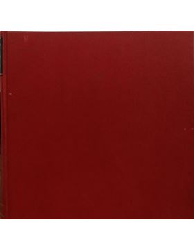 sadacosta-2403dg303_4.jpg