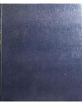 sadacosta-2407ma185_2.jpg