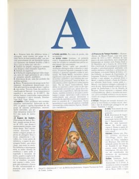 sadacosta-2410dg351_2.jpg