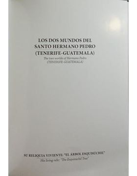 sadacosta-2412ma182_2.jpg