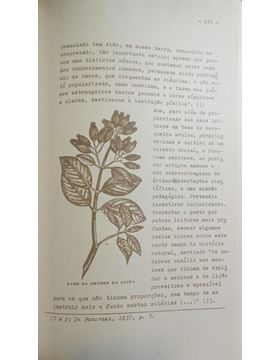sadacosta-2412pg008_3.jpg