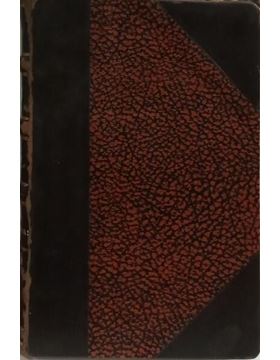 sadacosta-2501dg253_4.jpg