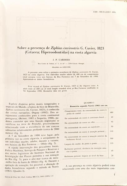 sadacosta-2504et1266_2.jpg