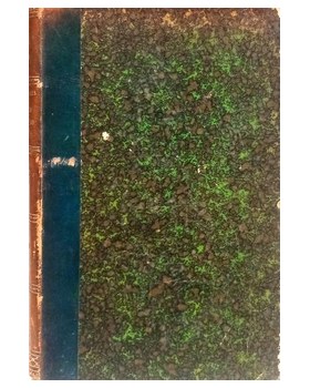 sadacosta-2505ET2192_1.jpg